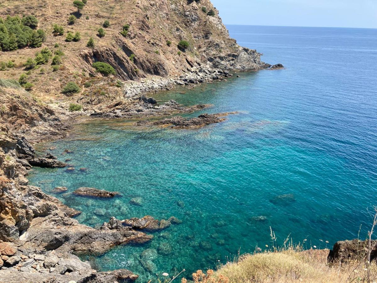 فيلا Mas De La Riviere Villelongue-de-la-Salanque المظهر الخارجي الصورة