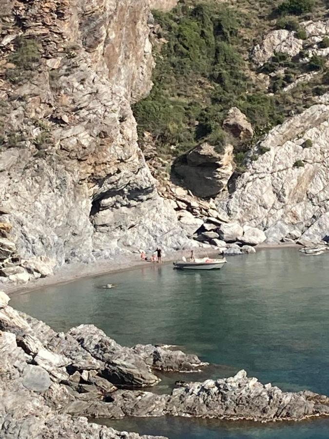 فيلا Mas De La Riviere Villelongue-de-la-Salanque المظهر الخارجي الصورة