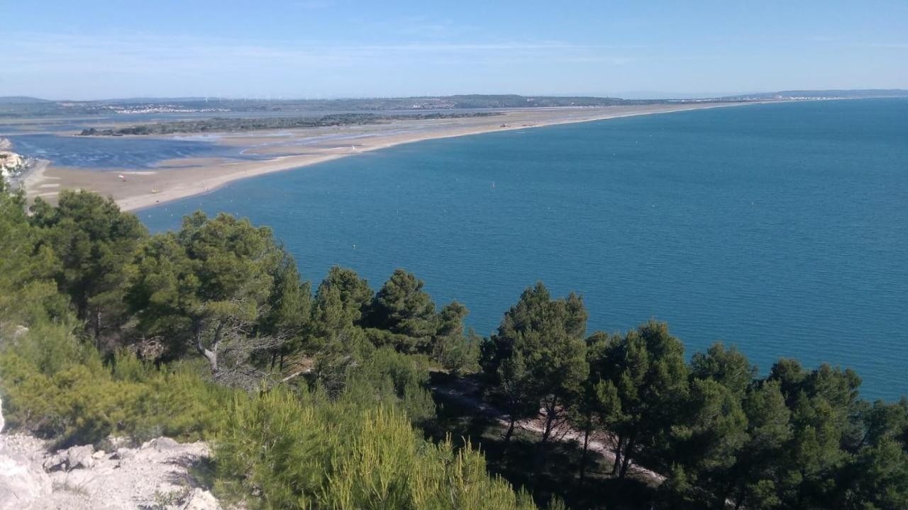 فيلا Mas De La Riviere Villelongue-de-la-Salanque المظهر الخارجي الصورة